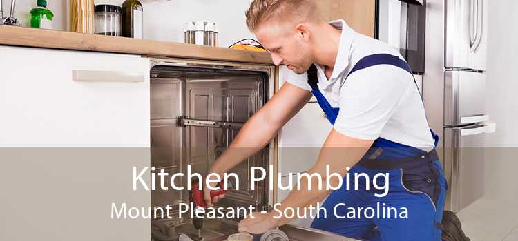 Kitchen Plumbing Mount Pleasant - South Carolina