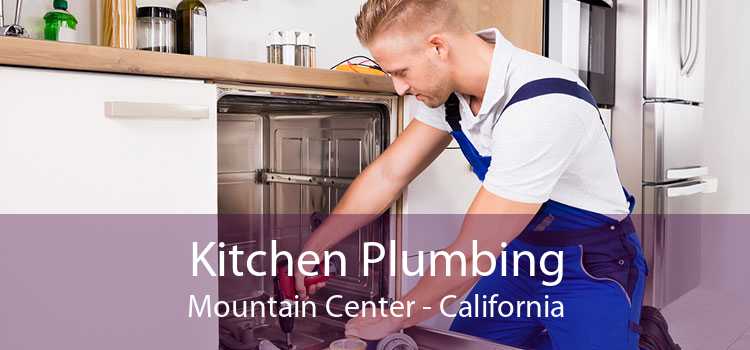 Kitchen Plumbing Mountain Center - California