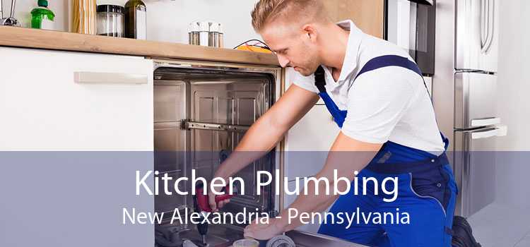 Kitchen Plumbing New Alexandria - Pennsylvania