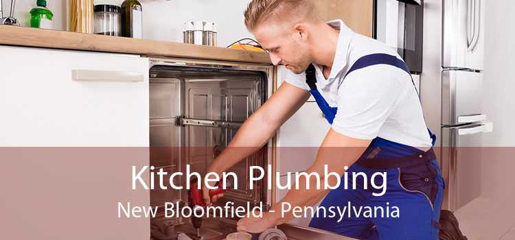 Kitchen Plumbing New Bloomfield - Pennsylvania