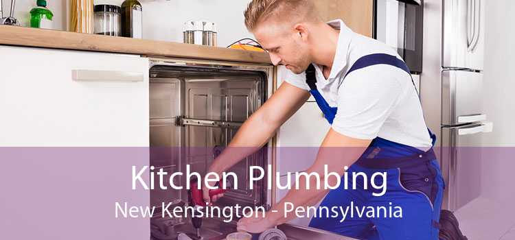 Kitchen Plumbing New Kensington - Pennsylvania
