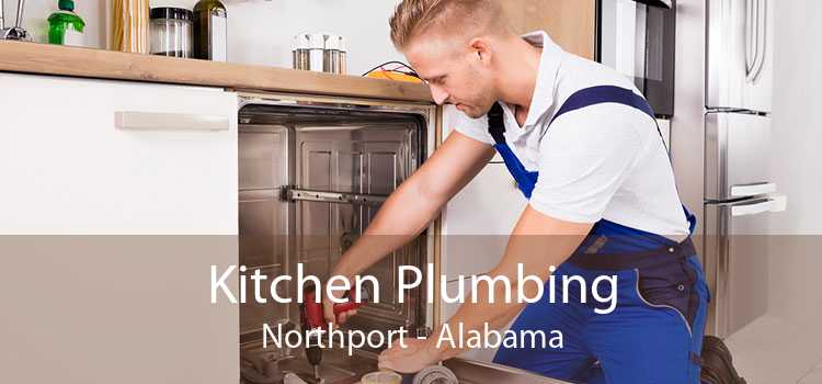 Kitchen Plumbing Northport - Alabama