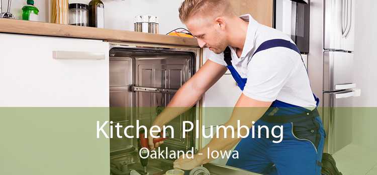 Kitchen Plumbing Oakland - Iowa