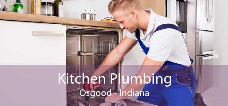 Kitchen Plumbing Osgood - Indiana
