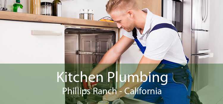 Kitchen Plumbing Phillips Ranch - California