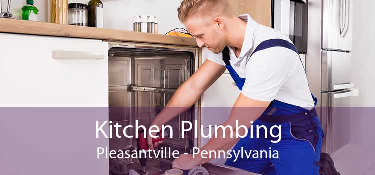 Kitchen Plumbing Pleasantville - Pennsylvania