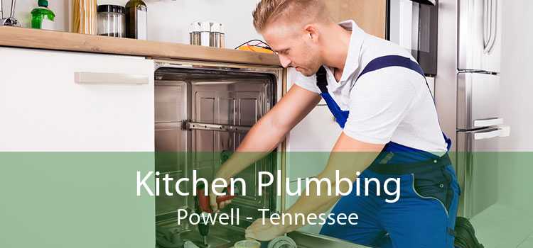 Kitchen Plumbing Powell - Tennessee