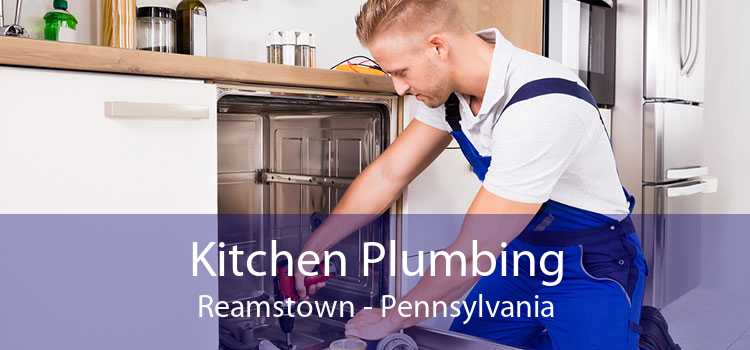 Kitchen Plumbing Reamstown - Pennsylvania