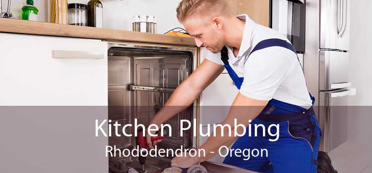 Kitchen Plumbing Rhododendron - Oregon