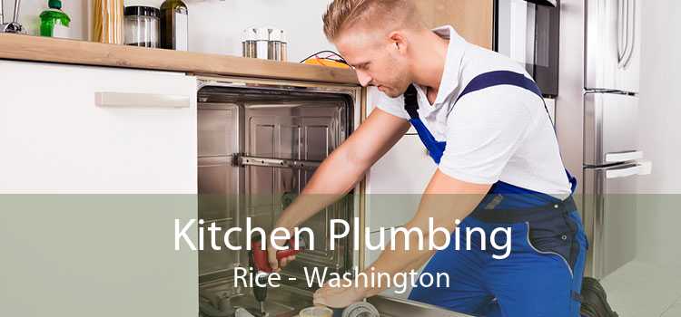 Kitchen Plumbing Rice - Washington