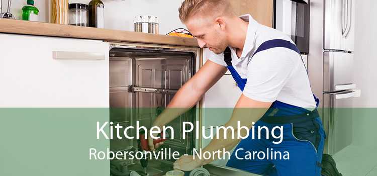 Kitchen Plumbing Robersonville - North Carolina