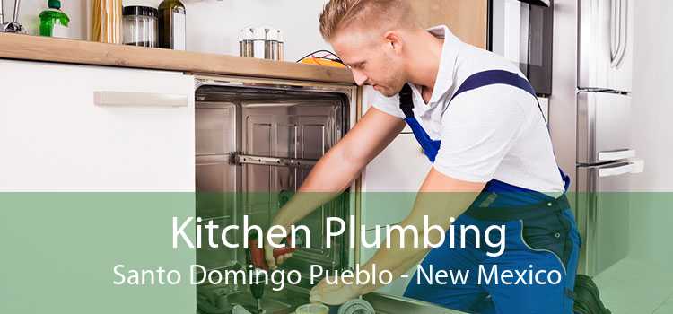 Kitchen Plumbing Santo Domingo Pueblo - New Mexico