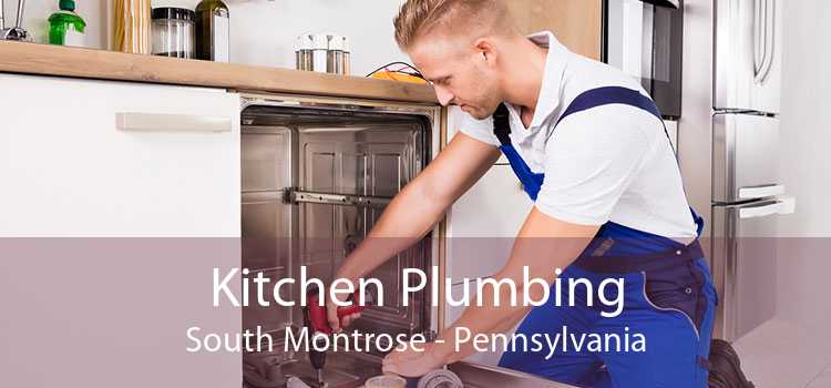 Kitchen Plumbing South Montrose - Pennsylvania