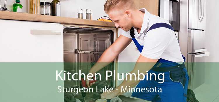 Kitchen Plumbing Sturgeon Lake - Minnesota