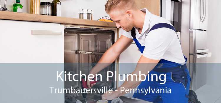 Kitchen Plumbing Trumbauersville - Pennsylvania