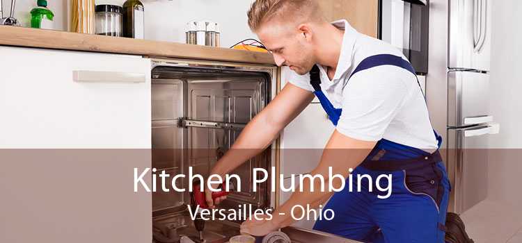 Kitchen Plumbing Versailles - Ohio