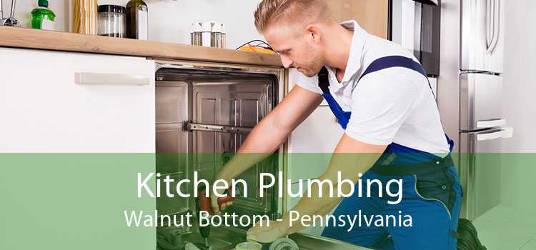 Kitchen Plumbing Walnut Bottom - Pennsylvania