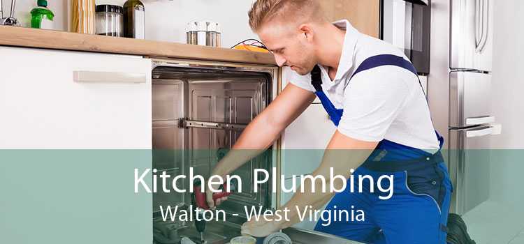Kitchen Plumbing Walton - West Virginia