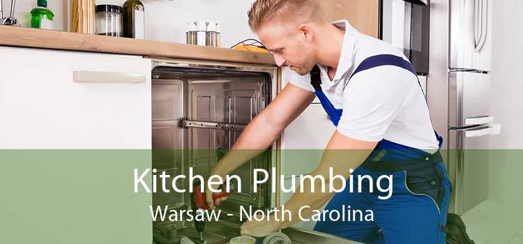 Kitchen Plumbing Warsaw - North Carolina