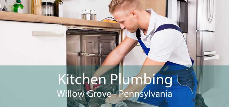 Kitchen Plumbing Willow Grove - Pennsylvania