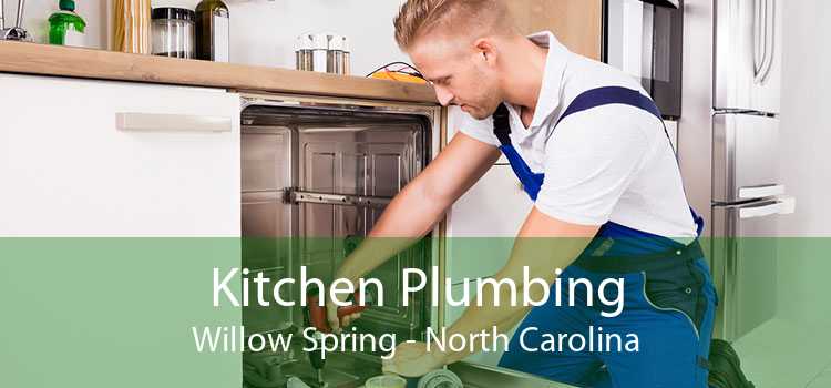Kitchen Plumbing Willow Spring - North Carolina