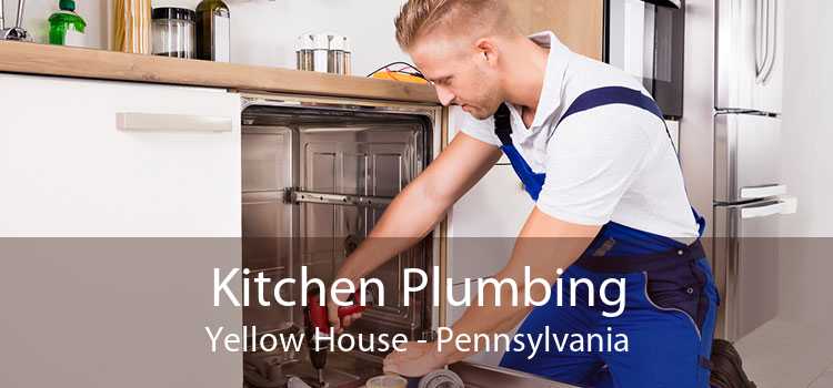 Kitchen Plumbing Yellow House - Pennsylvania