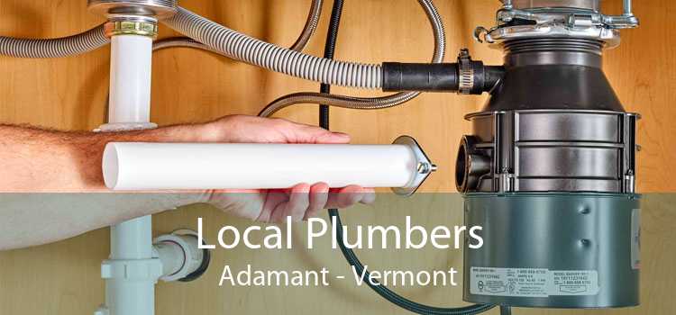 Local Plumbers Adamant - Vermont