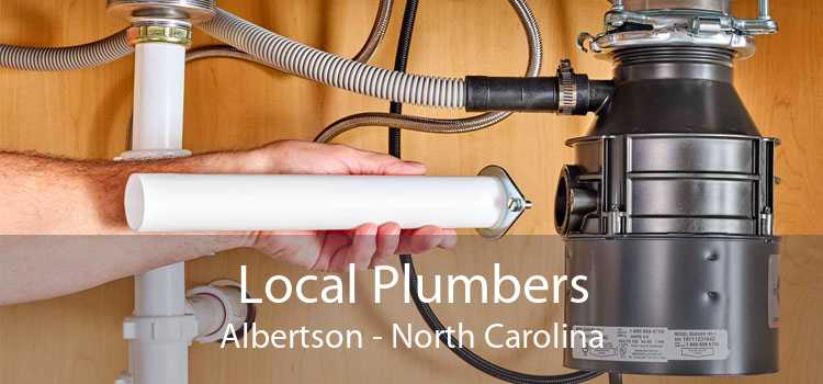 Local Plumbers Albertson - North Carolina