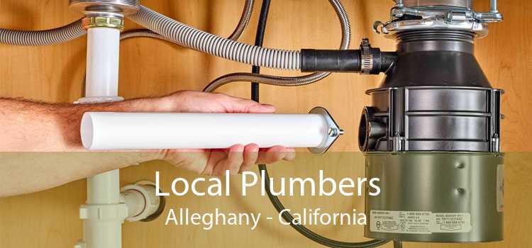 Local Plumbers Alleghany - California