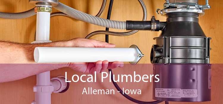 Local Plumbers Alleman - Iowa