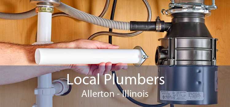 Local Plumbers Allerton - Illinois