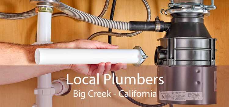 Local Plumbers Big Creek - California