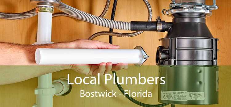 Local Plumbers Bostwick - Florida