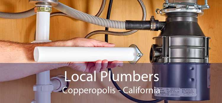 Local Plumbers Copperopolis - California