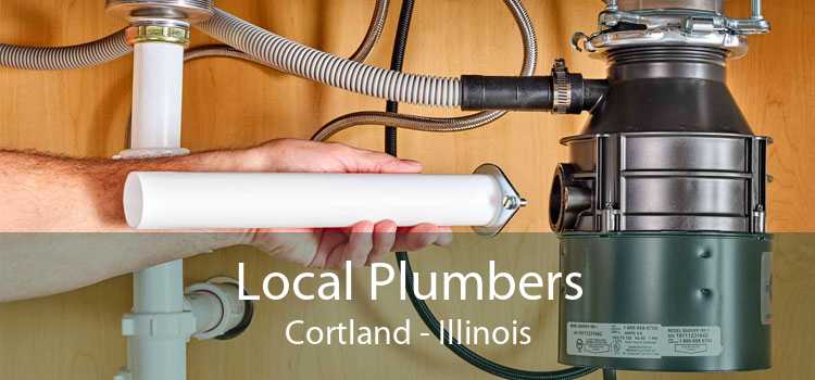 Local Plumbers Cortland - Illinois