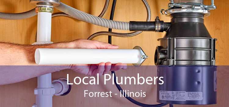 Local Plumbers Forrest - Illinois