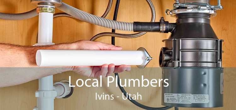 Local Plumbers Ivins - Utah