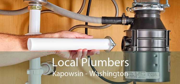 Local Plumbers Kapowsin - Washington