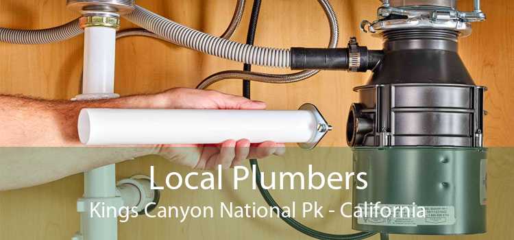 Local Plumbers Kings Canyon National Pk - California