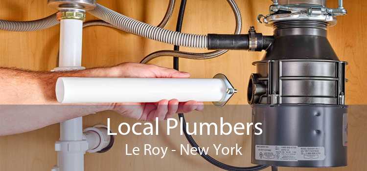 Local Plumbers Le Roy - New York