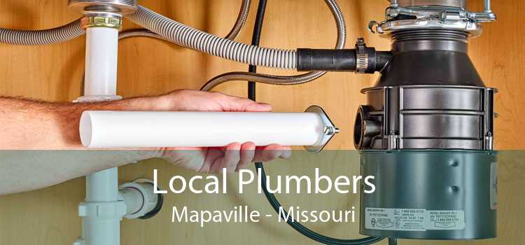 Local Plumbers Mapaville - Missouri