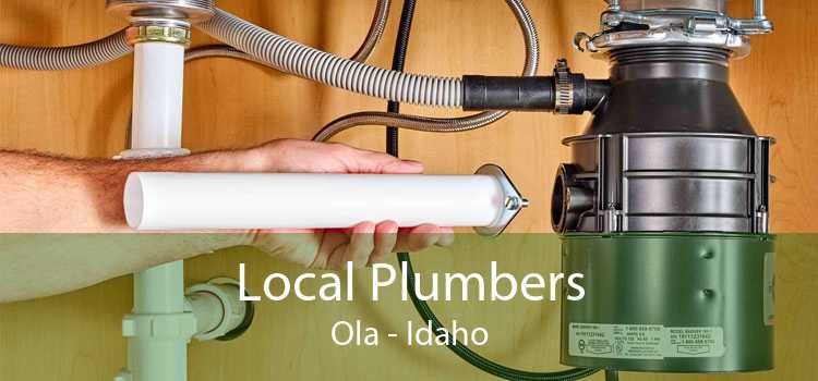 Local Plumbers Ola - Idaho