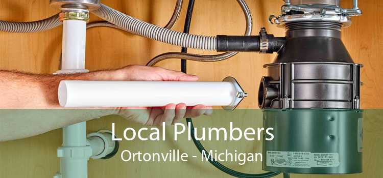 Local Plumbers Ortonville - Michigan
