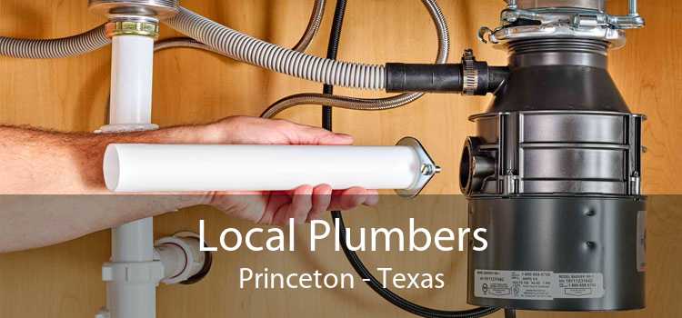 Local Plumbers Princeton - Texas