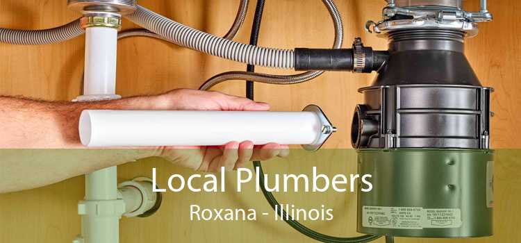 Local Plumbers Roxana - Illinois
