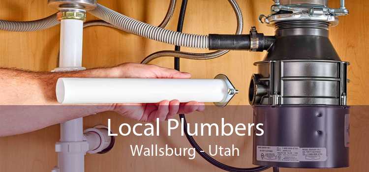 Local Plumbers Wallsburg - Utah