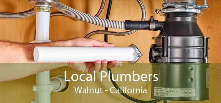 Local Plumbers Walnut - California