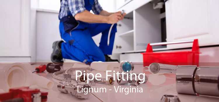 Pipe Fitting Lignum - Virginia