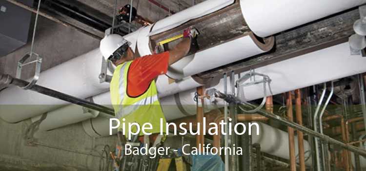 Pipe Insulation Badger - California