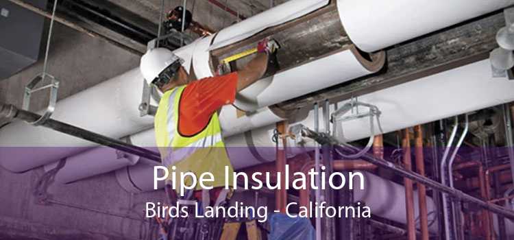 Pipe Insulation Birds Landing - California